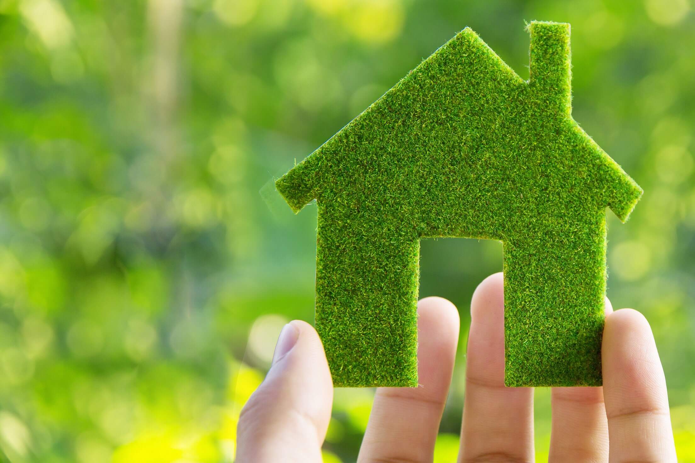 Closure Of The Green Homes Grant Scheme - Ecology